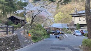 東北縦断2泊3日：桜咲く花巻大沢温泉