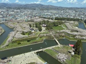 タワー眺望