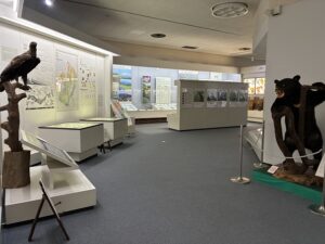 山形博展示