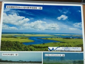 琵琶瀬ポスター