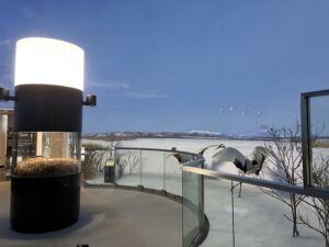 釧路市博タンチョウ