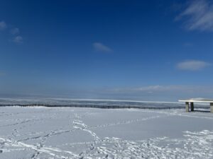 能取岬流氷全体